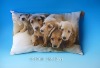 Lovely Printed Dog Cushions