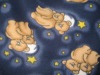 Lovely printed fleece blanket/polar fleece blanket