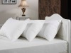 Lux Wool Pillows (organic)