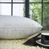 Luxurious Mulberry Silk Jacquard Pillow