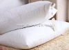 Luxurious Mulberry Silk Pillow