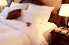 Luxury Hotel Bedding set
