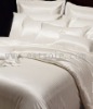 Luxury Queen Size Solid Color Silk Bedding Set