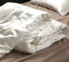 Luxury Silk Comforter