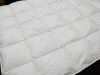 Luxury goose Down Quilts and Comforters