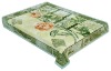 M443 Green camel polyester mink blanket