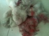 MIXED COLOUR MOHAIR