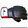 MMA Glove