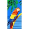 Macaw Parrot Beach Towel