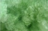 Manufacturer long-term supply  offer high tenacity and BS-027 green Polyester  Fiber size in 8D*51/102MM