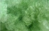 Manufacturer long-term supply offer high tenacity and BS-202 green  Polyester Fiber size in 4.5D*51/65MM