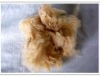 Manufacturer long-term supply  offer high tenacity and camelPolyester staple Fiber size in 1.5D*38MM