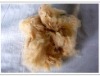 Manufacturer long-term supply  offer high tenacity and camelPolyester staple Fiber size in 1.5D*38MM