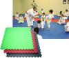 Martial arts jigsaw mat ( eva mat)