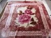 Meiyi Ryan 2012 hot selling elegant 100% polyester blanket