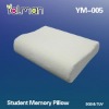 Memory Foam Pillow (Beauty,Health)