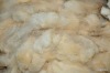 Merino Wool