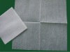 Mesh non woven polyester wipes