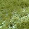 Micro-Fibre(55%) + Polyester(45%) Dtan Shaggy Carpet Low Pile Stretch yarn Aggressive Style of King Green Rug KW-DT004