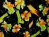Micro Velvet fabric mode discharge print