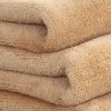 Micro plush fleece blanket