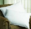 Microfiber Quilt and Pillow