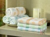 Microfiber Towel