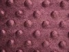 Mink New Minky Dot velboa