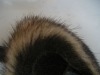 Mink fur