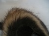 Mink fur