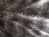 Minky Fabric