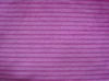 Model Cotton Spandex Single Jersey Fabric