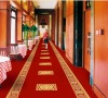 Modern Axminster Corridor Carpet