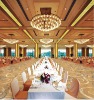 Modern Axminster Star Banquet Hall Flooring Carpet