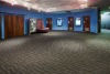 Modern carpet for hall