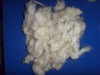 Mongolia  Tannery wool