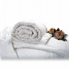 Mulberry Jacquard Silk Comforter With Silk Floss