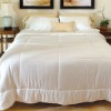 Mulberry Silk Comforter