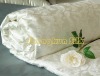 Mulberry Silk Duvet