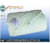Multifunction health function quilt