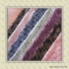 NEW YARN DYED LACE FABRIC