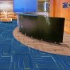 NS Series PVC Carpet
