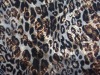 NYLON SPANDEX SWIMWEAR PRINTED FABRIC WITH GOLD