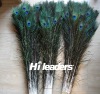 Natural Color Peacock Feather Tail