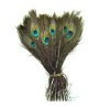 Natural Peacock Feather 20-25CM