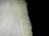 Natural Sheepskin Rug (Short Hair)