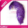 Natural purple ostrich feathers