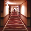 New Axminster Gripper Electronic Jacquard Carpets for corridor