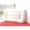 New Design Healthy Pure Mulberry Silk Pillow