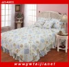 New Style Hot Sale Snd 100%cotton Down Filled Quilt